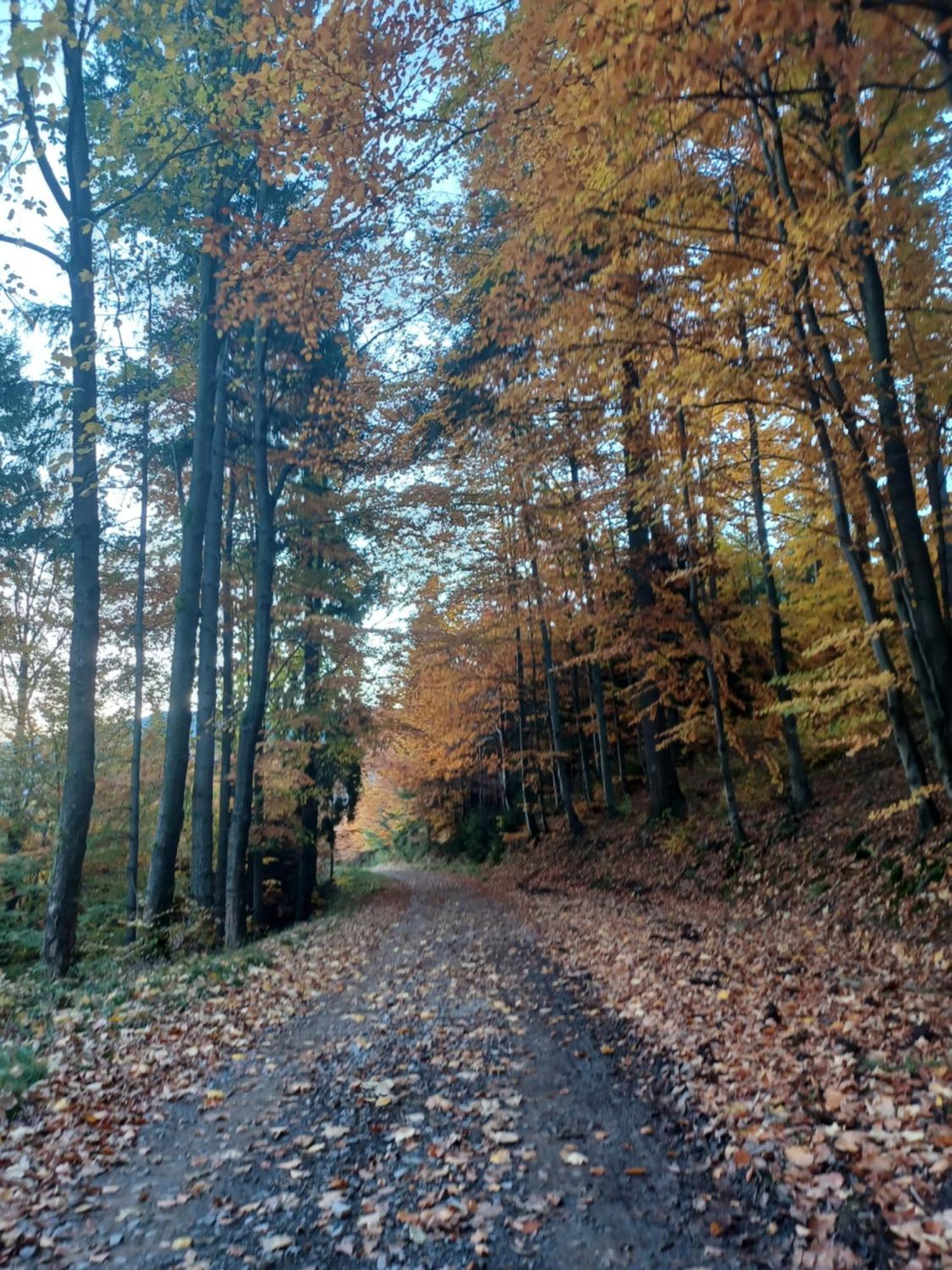 Domek Na Skalce Zabnica Экстерьер фото